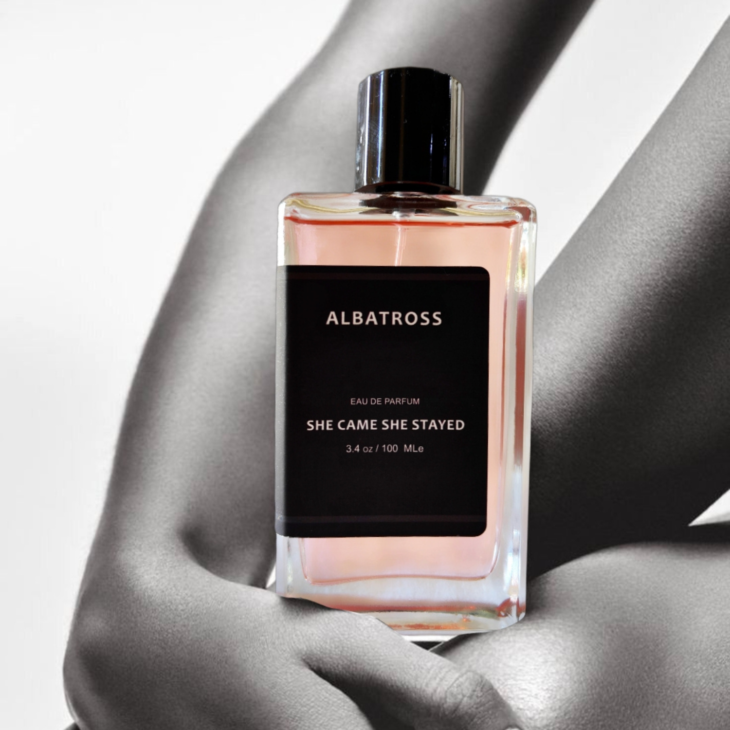 She came to stay discount cologne