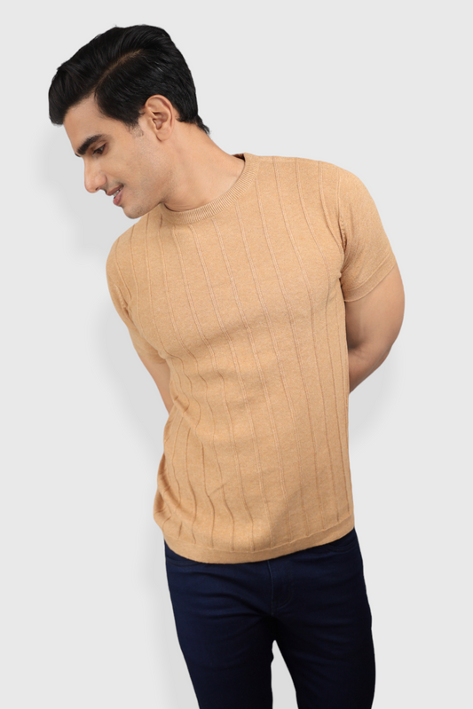 Beige Half Sleeve Flat Knit self striped Round neck T-Shirt for men