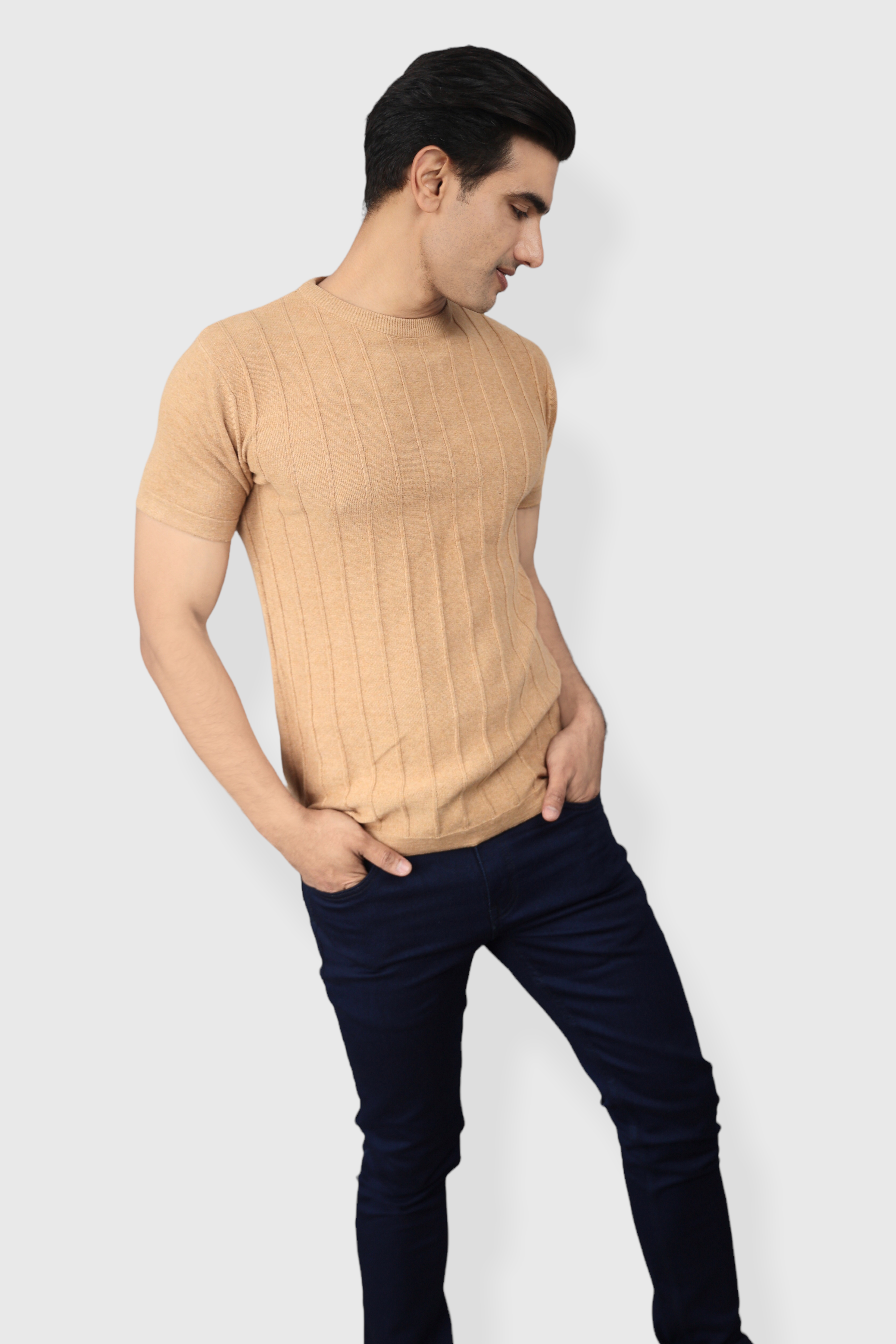 Beige Half Sleeve Flat Knit self striped Round neck T-Shirt for men