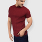 Maroon Half Sleeve Flat Knit self striped Round neck T-Shirt for men